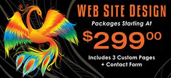 Web Design Packages Starting at 299